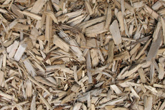 biomass boilers Coanwood