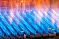 Coanwood gas fired boilers